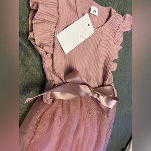 Sinhoon Pink Ruffle Sleeve Dress Size 2Y